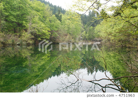 Ryogokudo的著名水 Ryogokudo的著名水 4751963