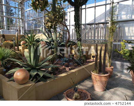 Hamamatsu Flower Park · greenhouse cactus Hamamatsu Flower Park · greenhouse cactus 4752144