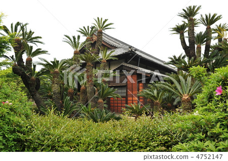 Jungle house Jungle house 4752147