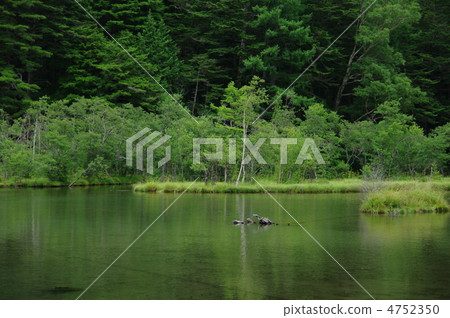 明戈池的風景 明戈池的風景 4752350
