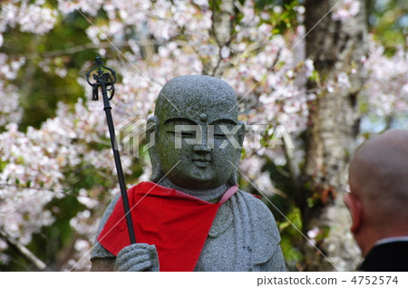 祈禱櫻花回到Jizo monkyou祈禱 4752574