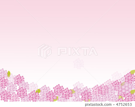 hydrangea hydrangea 4752653