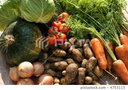 Harvested vegetables 4753115