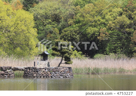 Wakaba Moe Hirosawa池塘 4753227