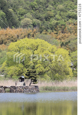 Wakaba Moe Hirosawa池塘 4753228