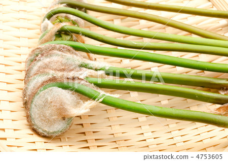 向上收穫的泉水 4753605