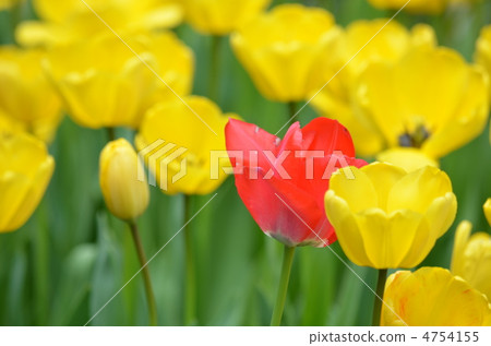 Red breaking point 4754155