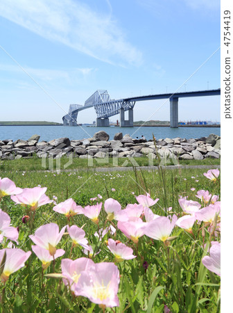 Gate bridge seen from Wakasu beach park where lunch autumn evening primrose blooms 4754419