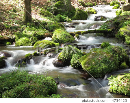 Nakhizawa春天四月春天 4754423