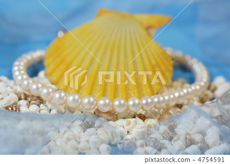 晚上有珍珠貝殼和貝類 4754591