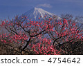 Ryuun雲和紅梅和富士山 4754642