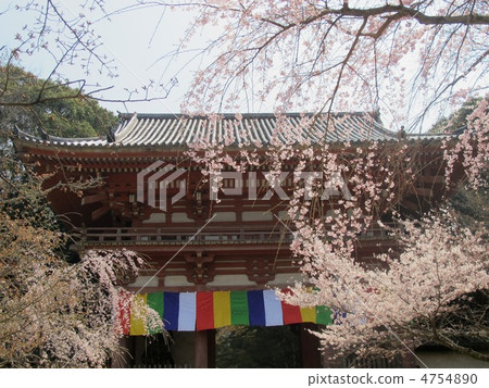 Daigo-ji Temple Daigo-ji Temple 4754890