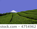 茶園 4754962