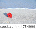 Hibiscus 4754999