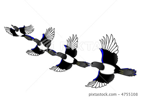 Magpie 4755108