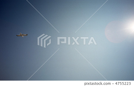 晴天 藍天 藍藍的天空 4755223