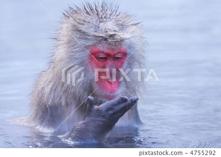 安靜地看著你的手 安靜地看著你的手 4755292