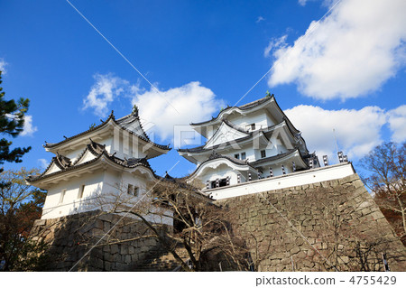 Iga Ueno Castle Mimic Tenshi 4755429