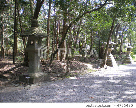 幾天前新宮神社 4755480