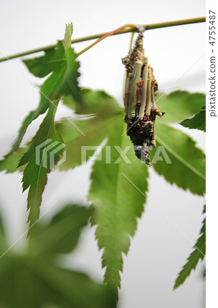 Our house Our house 4755487