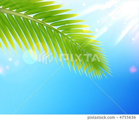 Tropical summer background Tropical summer background 4755636