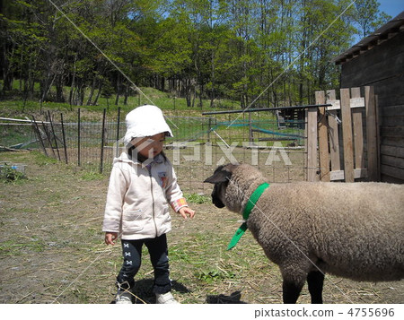 Sheep and children Sheep and children 4755696