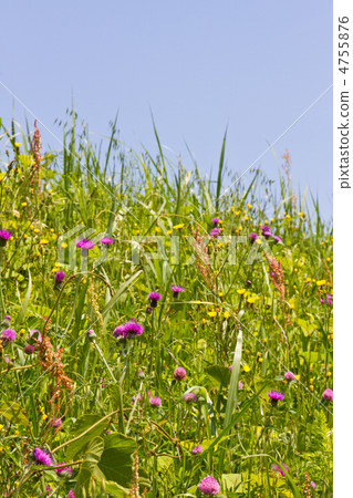 一個薊社區 4755876