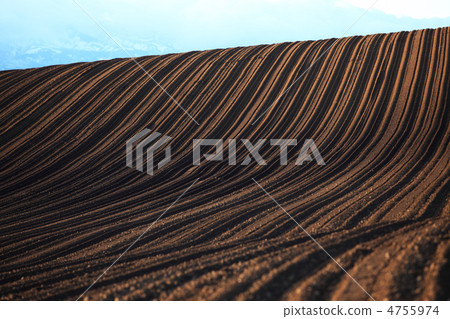 Hill fields (ridges) 4755974