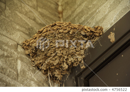 Swallow's nest Swallow's nest 4756522