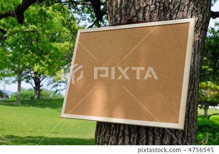 Cork board hung on a tree 4756545