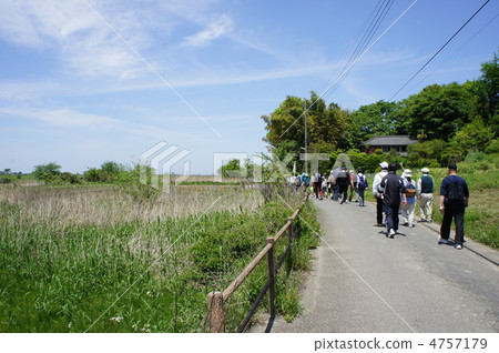 徒步旅行 4757179