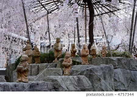 京都，春天Rokkakudo 4757344