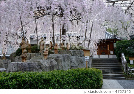 Inside the precincts of Rokkakudo in Kyoto 4757345