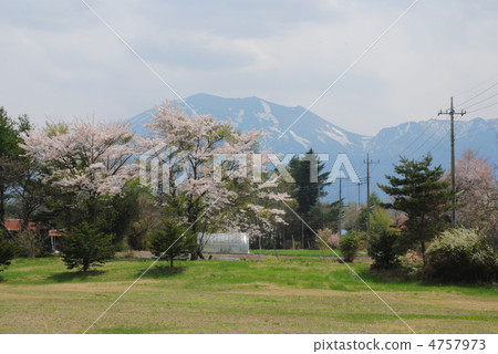 群馬縣Tsumagoi Village Spring 群馬縣Tsumagoi Village Spring 4757973