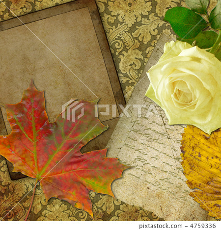 art frame on wallpaper 4759336