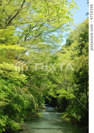 春派公路 4759398