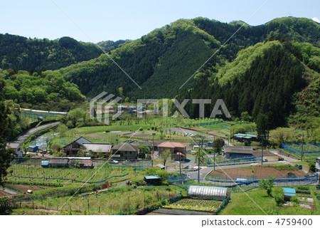 八王子日落小燒村的春天 八王子日落小燒村的春天 4759400