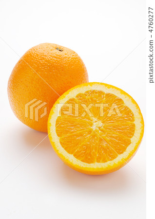 Navel Orange 4760277