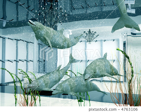 dolphins in the shop 4763106