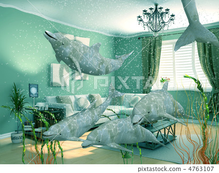 domestic dolphins 4763107