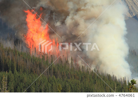 Forest Fire in the Rocky Mountains 4764061