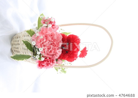 Dog Flower Arrangement Dog Flower Arrangement 4764688