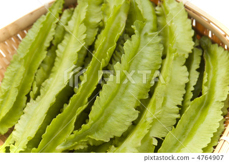 Urizun Urizun 4764907