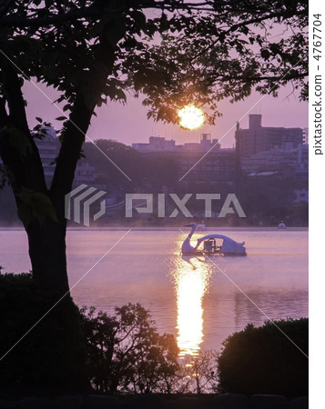 Sunrise of the morning mackerel senba lake 4767704