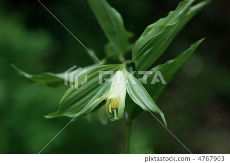 豐察莊 豐察莊 4767903