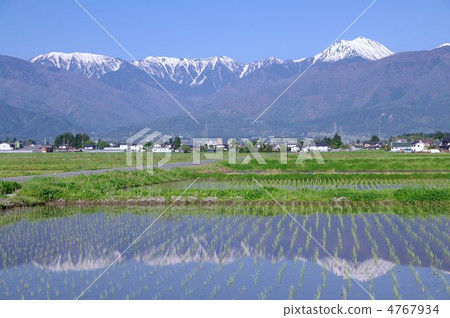 Spring in Azumino - Northern Alps in the Paddy ~ 4767934