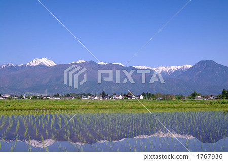 Spring in Azumino - Northern Alps in the Paddy ~ 4767936