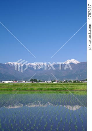 Spring in Azumino - Northern Alps in the Paddy ~ 4767937