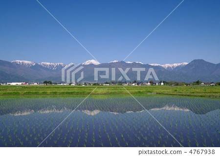春天在安曇野 - 在稻田的北阿爾卑斯山〜 春天在安曇野 - 在稻田的北阿爾卑斯山〜 4767938