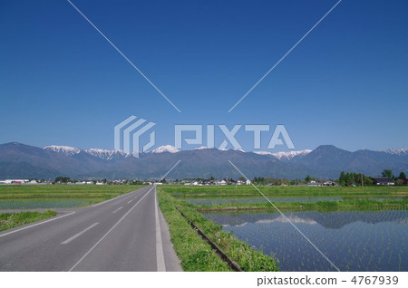 春天在安曇野 - 稻田和北阿爾卑斯山〜 4767939
